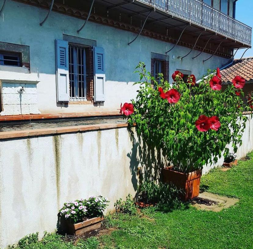 Bed and Breakfast Chez Louise Albi Zewnętrze zdjęcie